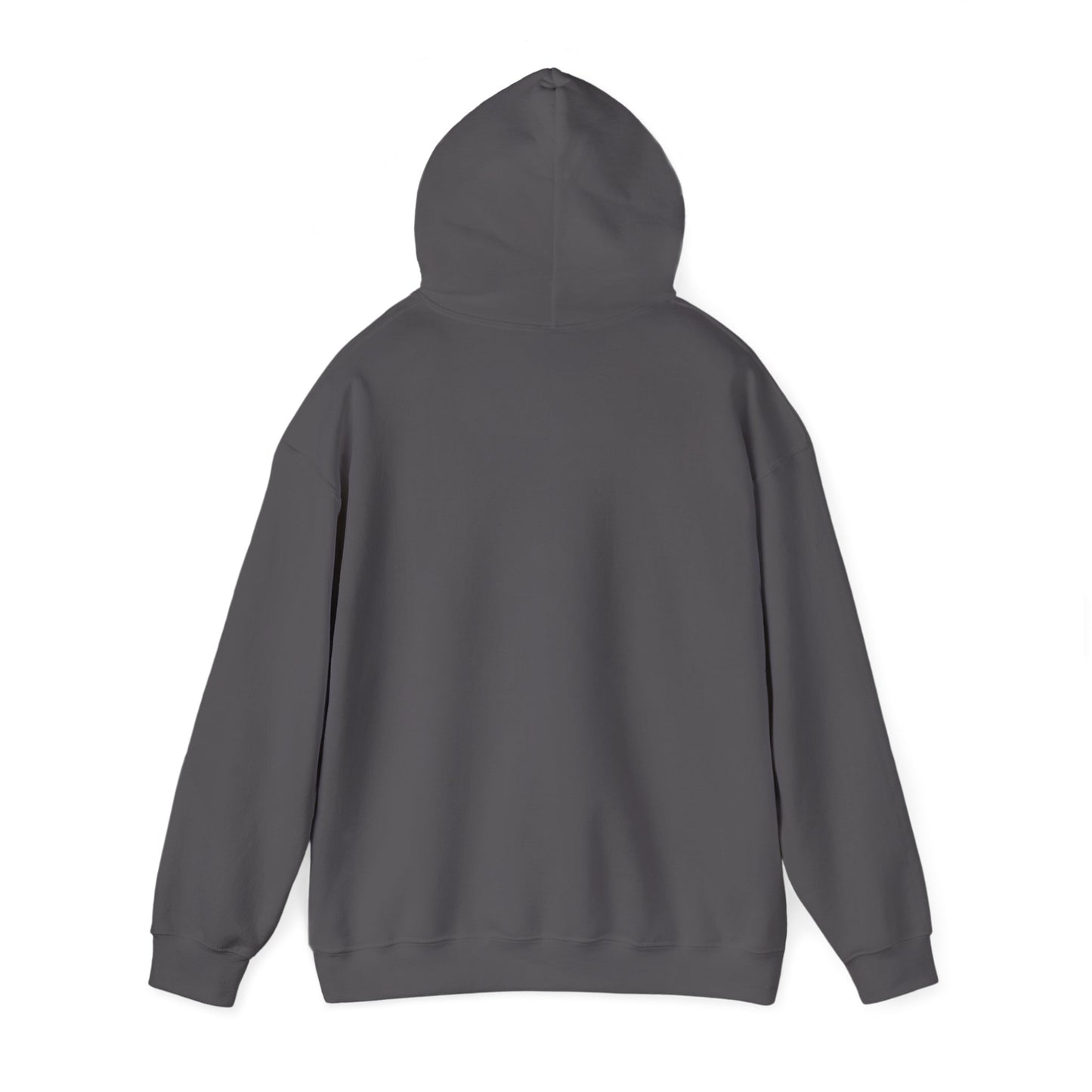 Miami Pi Dark Badge – Hoodie (Charcoal)