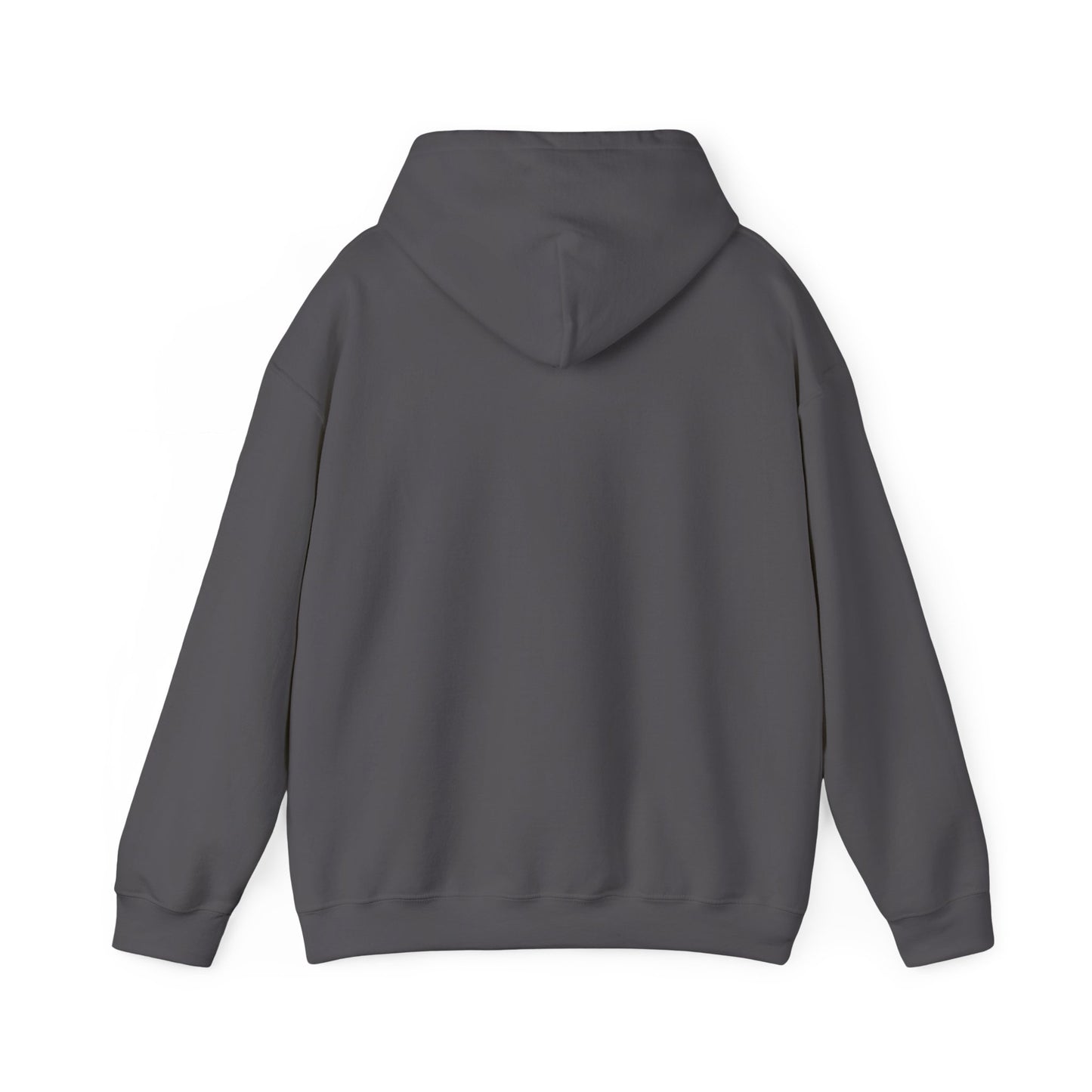 Miami Pi Dark Badge – Hoodie (Charcoal)