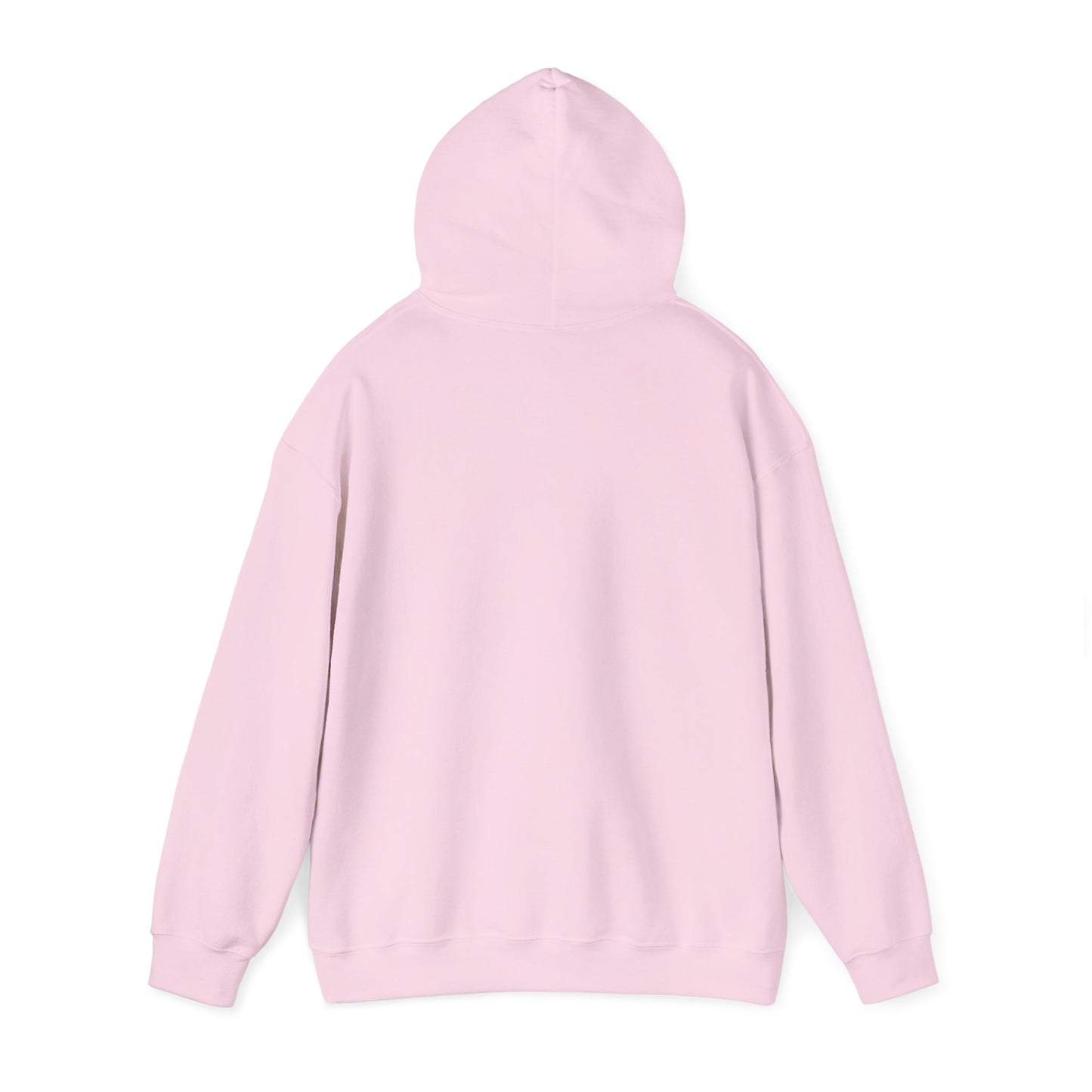 Miami Pi Dark Badge – Hoodie (Light Pink)