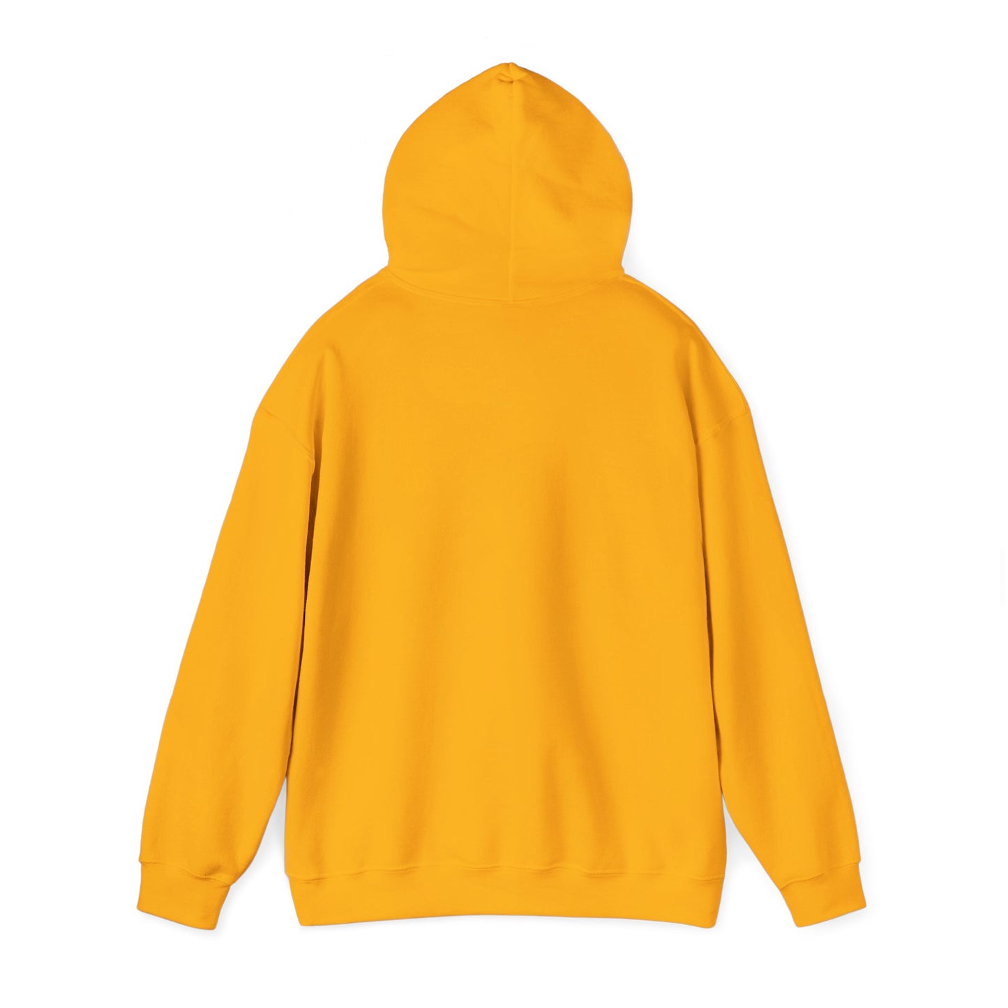 Miami Pi Badge – Hoodie (Gold)