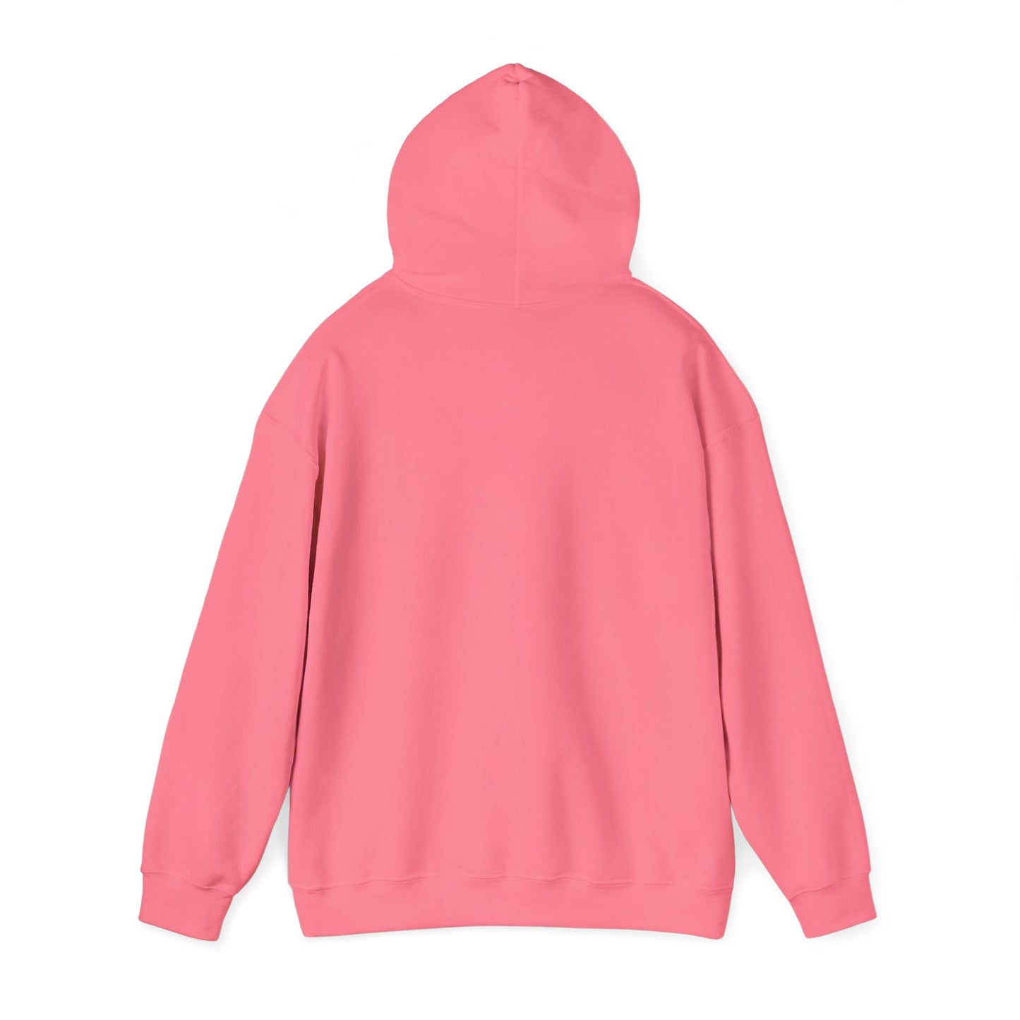 Miami Pi Dark Badge – Hoodie (Safety Pink)